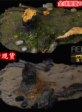 REBOR侏罗纪恐龙2022年场景神器地台套装 成人大孩子模型玩具现货