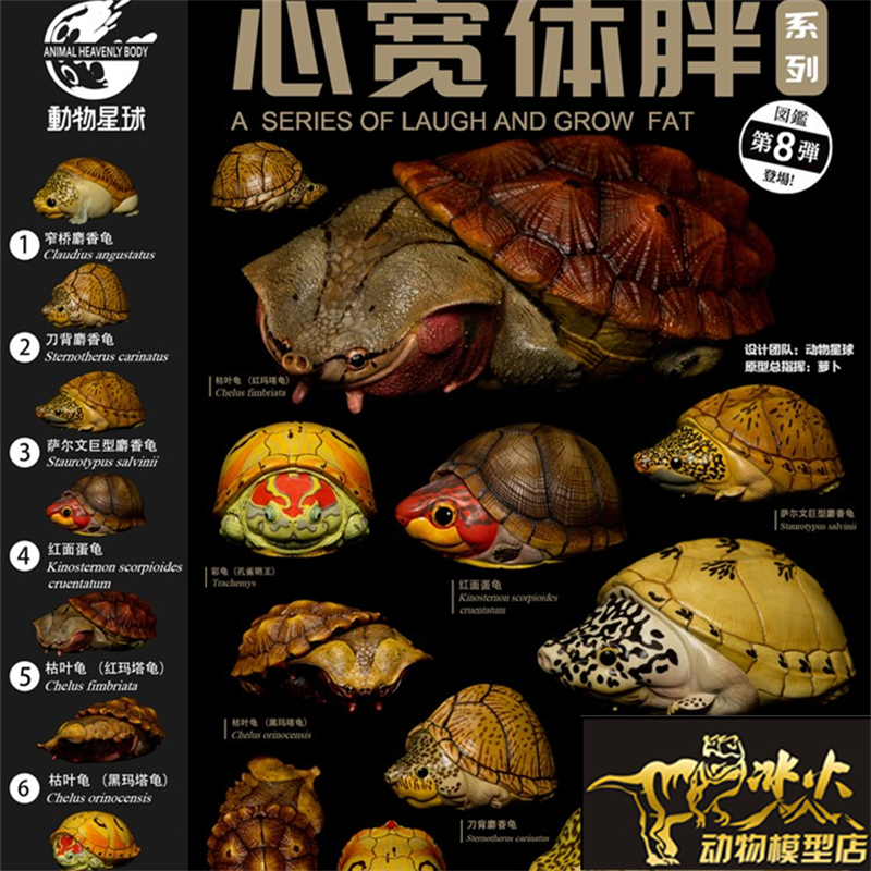 爆款龟手办模型动物星球现货
