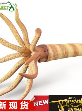 COLLECTA我你他野生动物模型玩具 2020直角石 88903全新现货