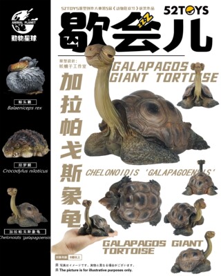 星球动物模型玩具象龟