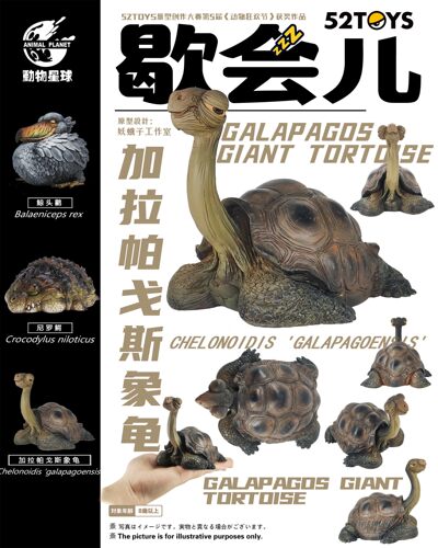 星球动物模型玩具象龟