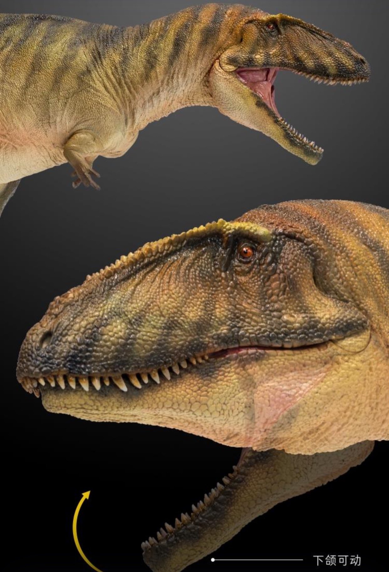 pnso恐龙大王成人大孩子玩具模型2021新品鲨齿龙现货盒装