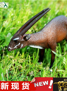 COLLECTA我你他 野生动物模型玩具 中南大羚羊88640 全新现货