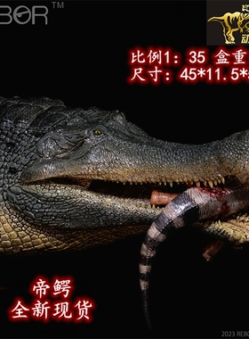 REBOR侏罗纪史前巨兽帝鳄帝王鳄鱼 恐龙尸体成人孩子模型成品热销