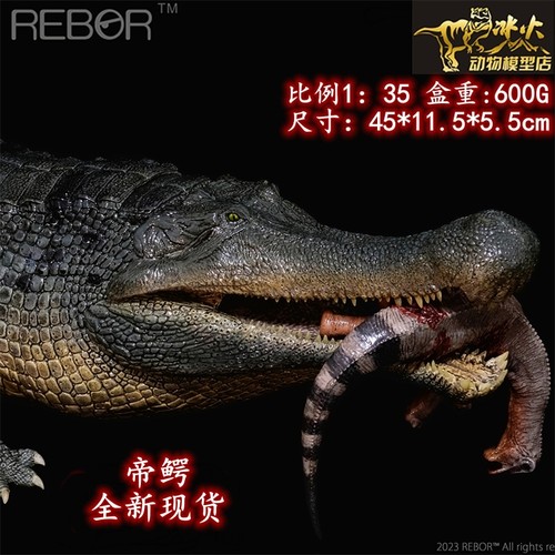 模型史前巨兽REBORPVC收藏品鳄鱼