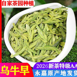 2026年乌牛早茶新茶龙井茶嫩芽茶叶250g浓香型永嘉特级温州乌牛早
