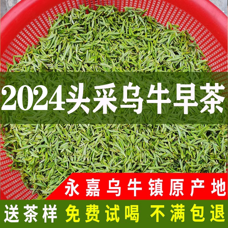 2024年乌牛早茶特级头采明前茶125g温州永嘉特产乌牛早龙井茶叶春-封面