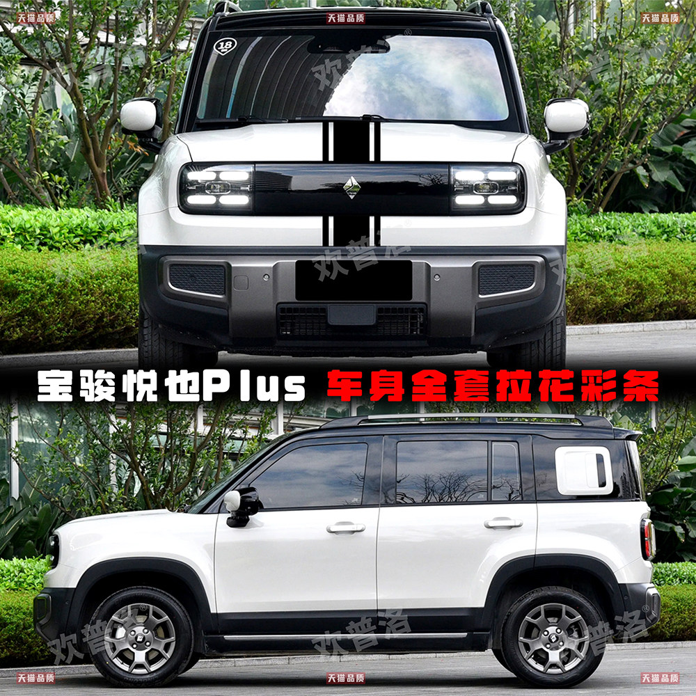 适用于宝骏悦也Plus车贴图片