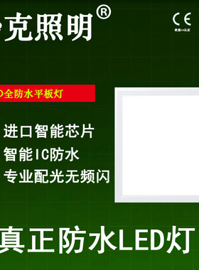 LED防水平板灯300x300x600x600×1200集成吊顶铝扣板游泳馆防水灯