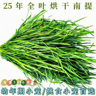 2025全新全葉南提烘干提摩西草兔子龍貓荷蘭豬干草毛重2斤 包郵