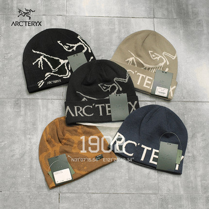 现货 始祖鸟 BIRD HEAD 羊毛针织 大LOGO 冷帽 毛线帽 王一博同款