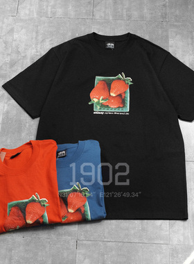 现货 Stussy 25SS Berries Tee 草莓水果印花纯棉圆领男女短袖T恤