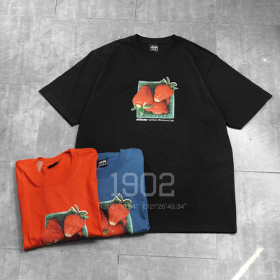 现货Stussy25SS草莓短袖t恤