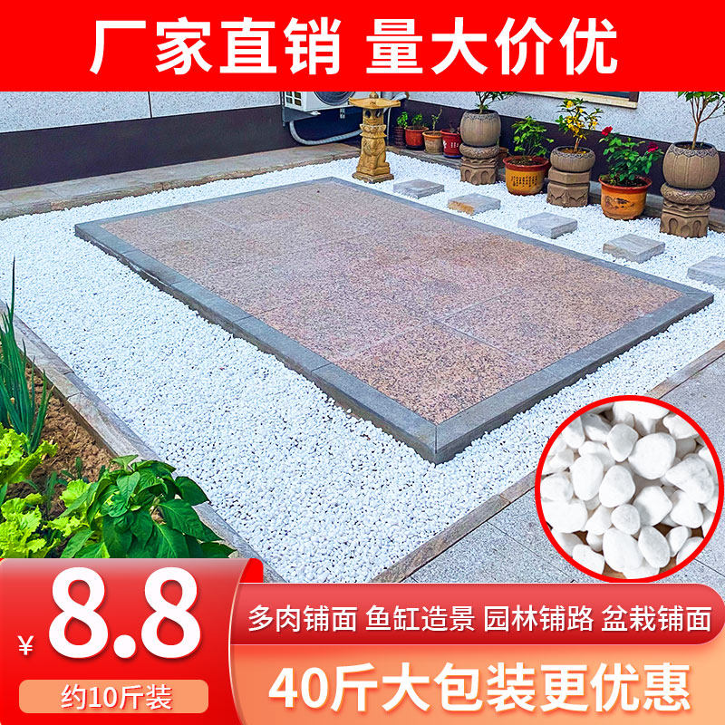 白石子大号鹅卵石多肉花盆铺面石庭院装饰铺地鱼缸造景白色小石头