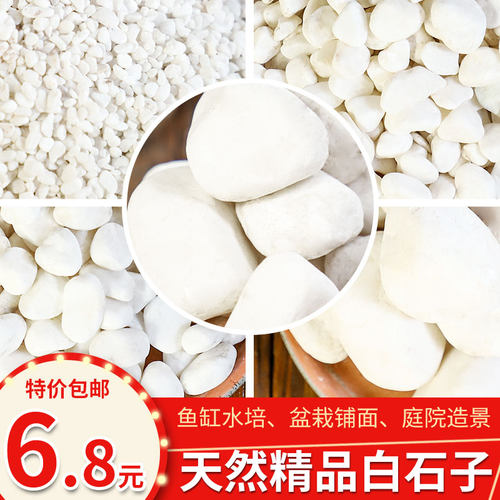 白石子鱼缸庭院造景摆件鹅卵石多肉铺面小石子装饰雨花石 - 封面