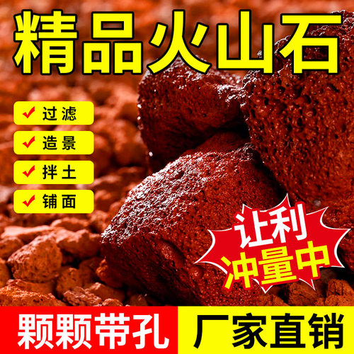 鱼缸过滤培养硝化菌垫底火山岩