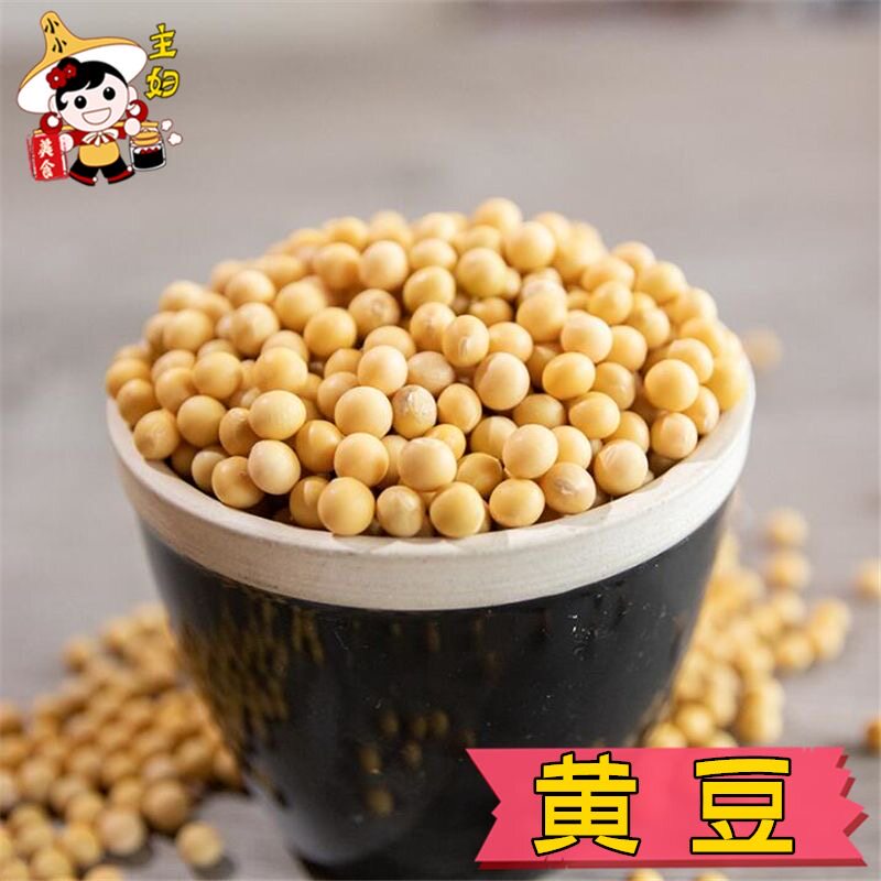 农家黄豆打豆浆发生豆芽纳豆