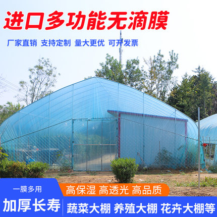 大棚塑料膜加厚透明保温棚膜菜棚塑料布拱棚膜po膜黑白膜无滴膜