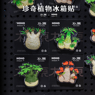 【朴原】原创植物冰箱贴块根冰箱贴磁贴椰子琉桑可随南宁植物包邮