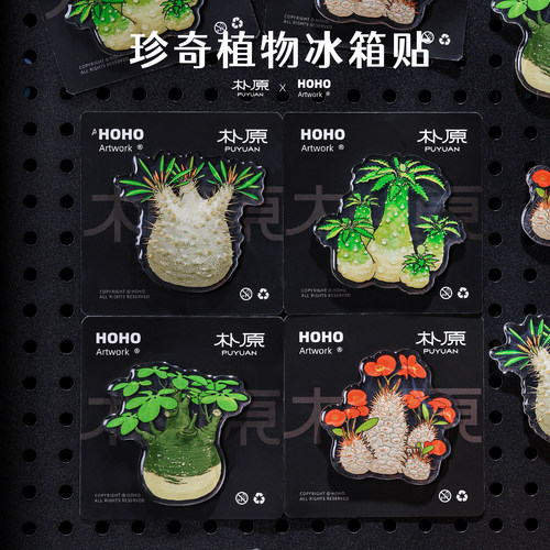 【朴原】原创植物冰箱贴块根冰箱贴磁贴椰子琉桑可随南宁植物包邮