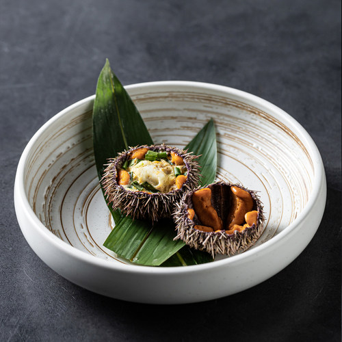 日式釉下彩陶瓷盘子菜盘家用商用餐饮圆形复古菜盘西餐盘子点心盘
