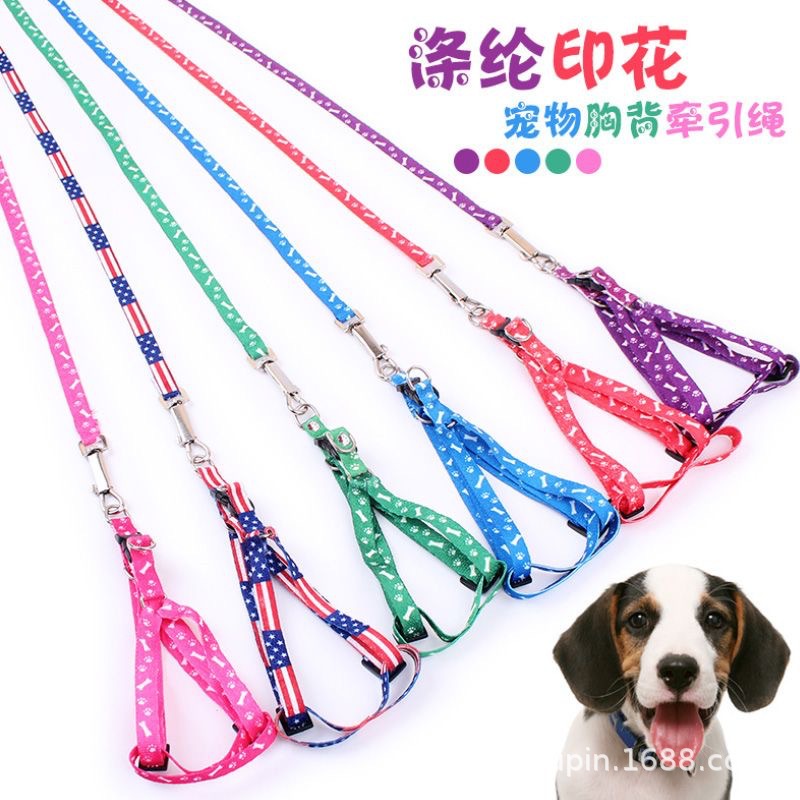 猫咪牵引绳小兔子遛狗栓猫绳狗儿牵引绳博美犬可调节遛兔