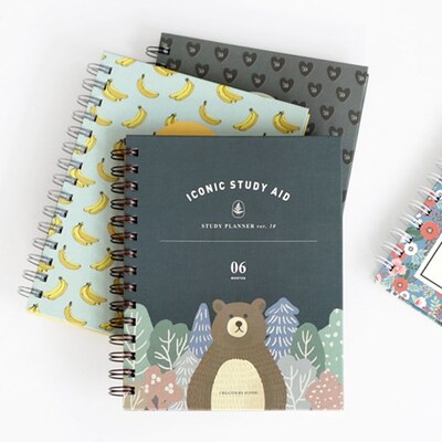 ICONIC可爱硬面线圈学习计划