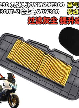 适用三阳巡弋250 九妹夫JOYMAXF300 XS300T-2哈士奇ADV300 空滤芯