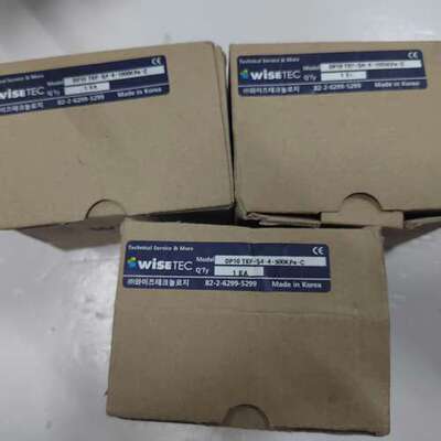 WISETEC  DP10 TEF-S4-4-500KPa-议价