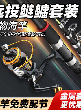 劲龙套装特价抛竿远投竿鱼竿套装超硬碳素海钓竿海杆渔具组合
