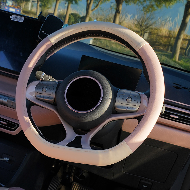 比亚迪海豹06方向盘套秦L海鸥海豚海狮06EV四季通用皮革把套