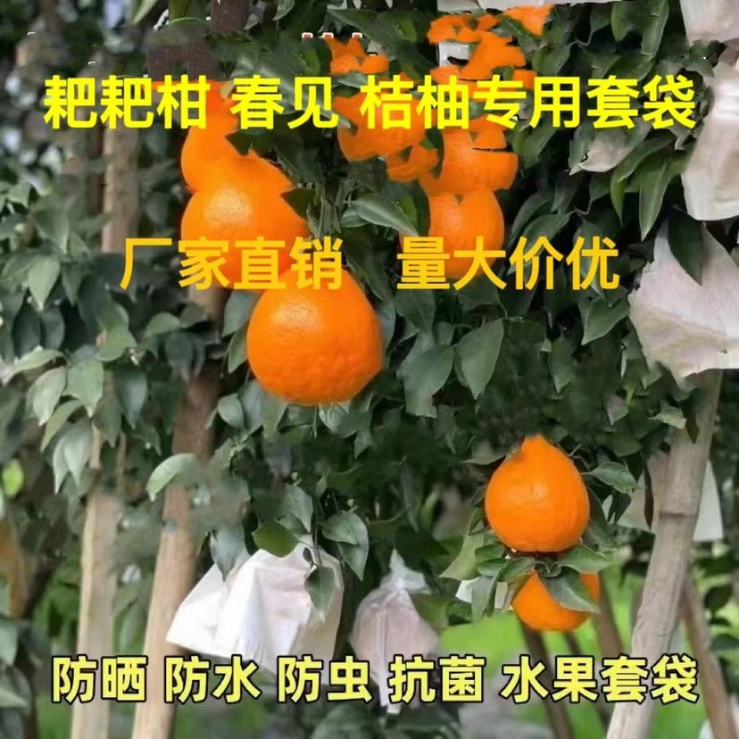 耙耙柑专用袋春见袋子柑橘子脐橙防水防晒防虫水果套袋专用包果子,农机/农具/农膜,水果套袋/果袋,淘宝优惠券,粉丝福利购,淘宝优惠卷