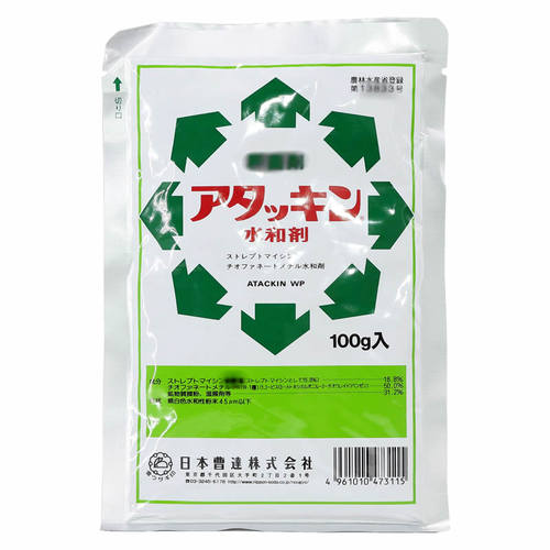 曹达块根植物龙舌兰黑腐病软腐病