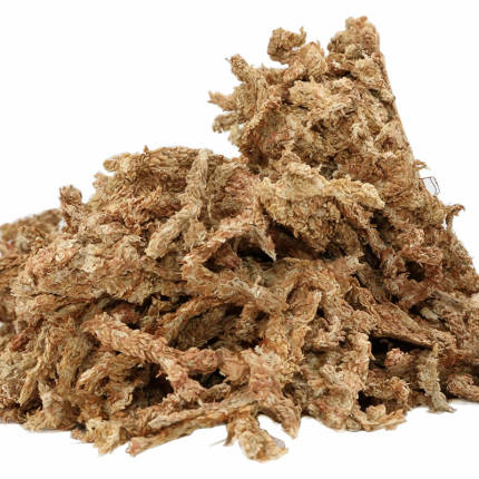 智利水苔红草毛毛虫蝴蝶兰花植料龟冬眠爬宠保湿粗壮白龟发根包邮