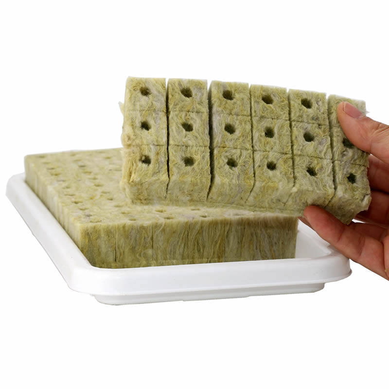 扦插育苗用天然日本进口