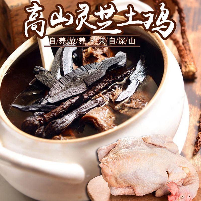 广东温氏心厨正宗高山灵芝鸡套餐老母鸡散养土鸡整鸡解冻加热即食