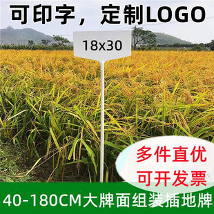 宏荣加厚加高塑料大号立体园艺插地牌园艺标签标识牌插牌指示牌