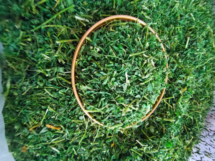 野生护肝茶 养生茶 养肝护肝   150克一瓶