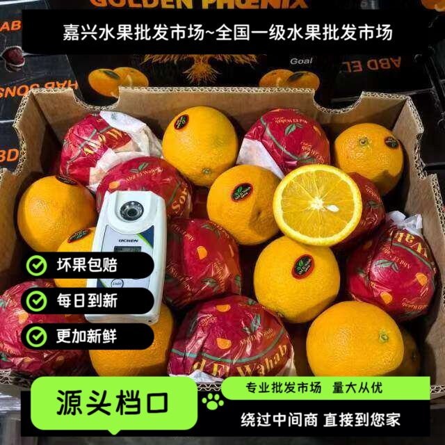 埃及进口橙子30斤整箱 南非橙当季新鲜奶茶店榨汁用源头批发包邮