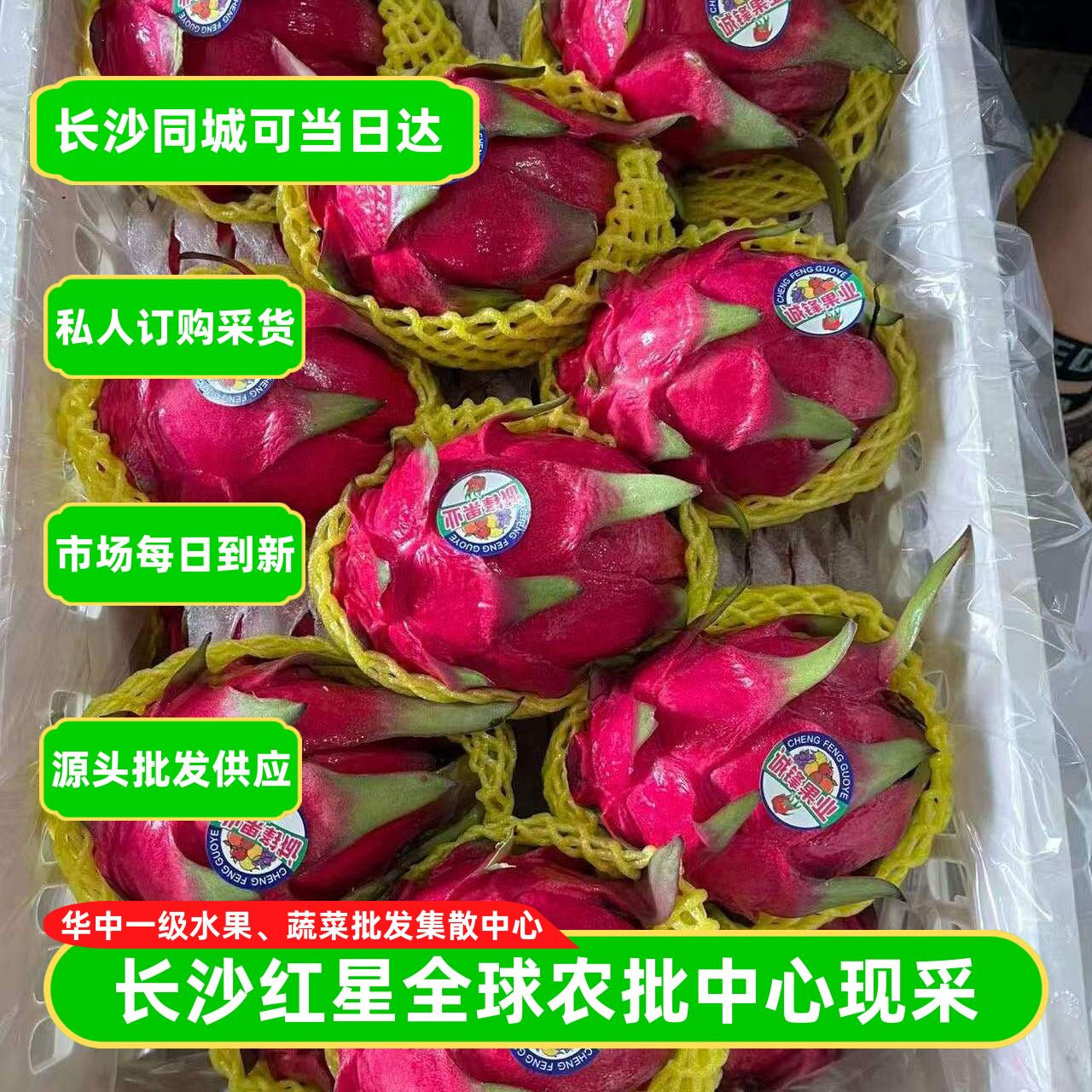 京都一号蜜宝火龙果红心火龙果甜
