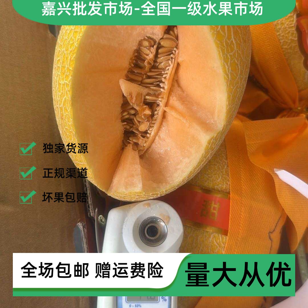 嘉兴水果批fa市场直发海南海豚金蜜瓜小蜜瓜黄蜜瓜哈密瓜脆甜多汁