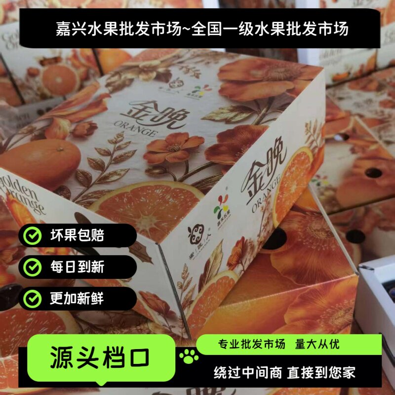 蜜匠人金晚橙巧克力橙精品礼盒新鲜甜橙送礼高端一级批发市场直发