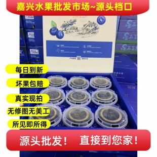 云南枝冠蓝莓18 蓝莓L25品种 大果源头批fa市场发货每日到新杯子装