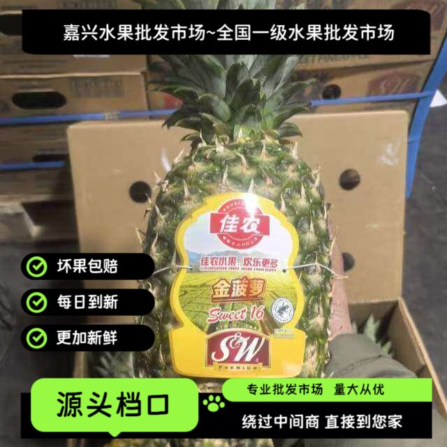 【嘉兴一级水果批fa市场】菲律宾佳农牌SW红标有冠凤梨酸甜可口