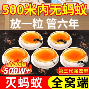 蚂蚁药家用全窝室内非无毒端旗舰店杀白蚁灭蚁饵专用杀虫剂呋虫胺