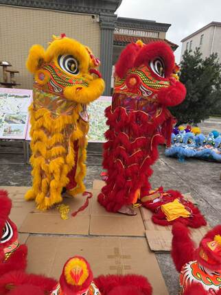佛山醒狮道具舞狮南狮正宗广东醒狮澳洲羊醒狮专业醒狮花布被醒狮