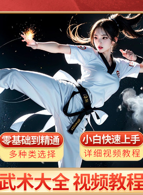 武术大全视频教程电子版八极拳散打剑法防身教程入门零基础自学
