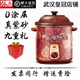 6.8L大容量炖保元 依立电炖锅紫砂锅3L 4.8L 汤电砂锅养生锅煮汤锅