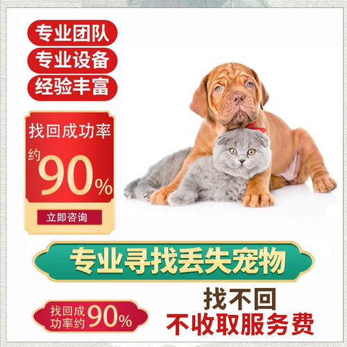找猫团队找鹦鹉专业找狗