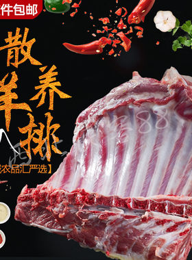 甘肃酒泉祁连山生羊排新鲜羊肉